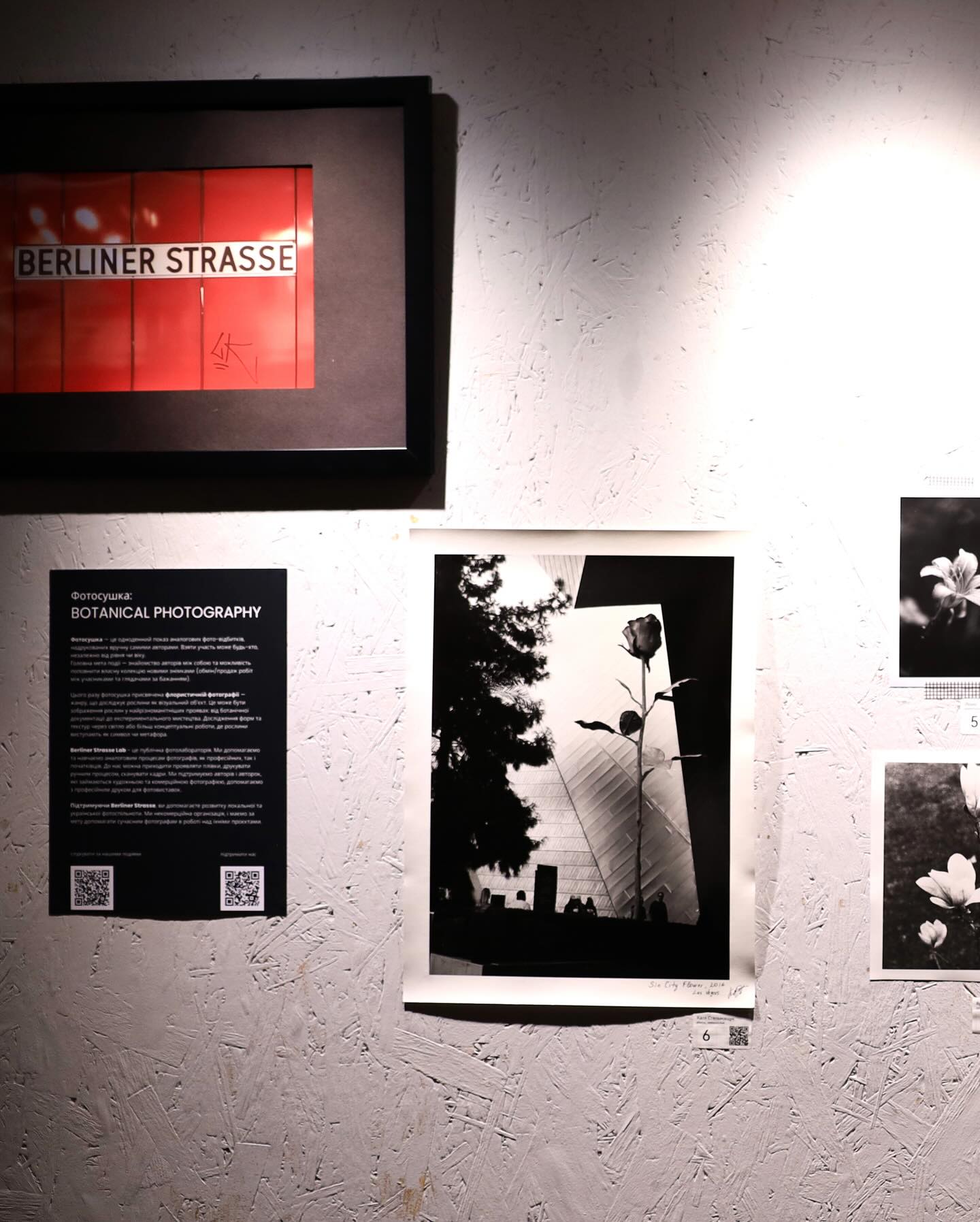 Fotosushka: Botanical Photography
